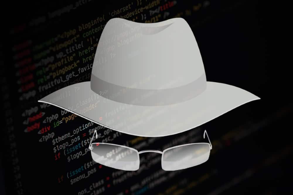 The White Hat Hackers And What They Do