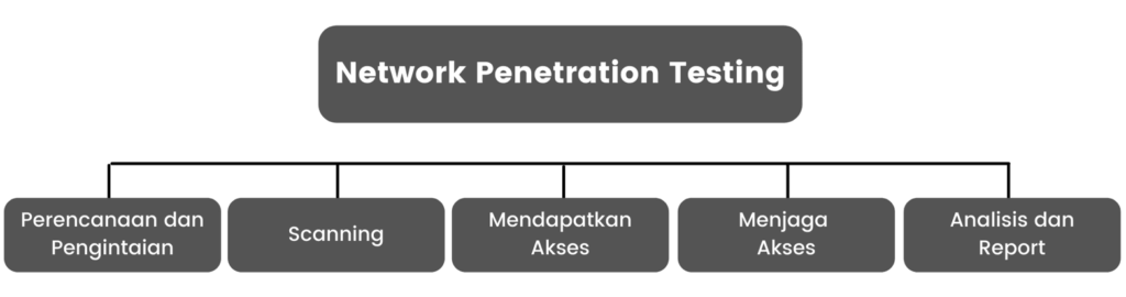 network-penetration-testing