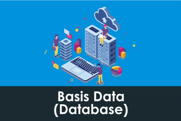 basis data