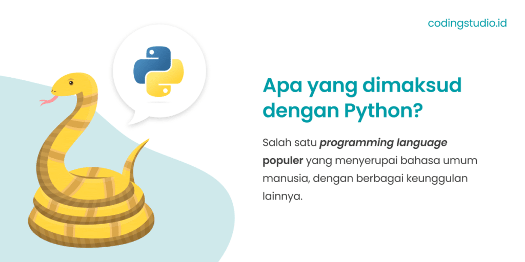 Pengertian Python