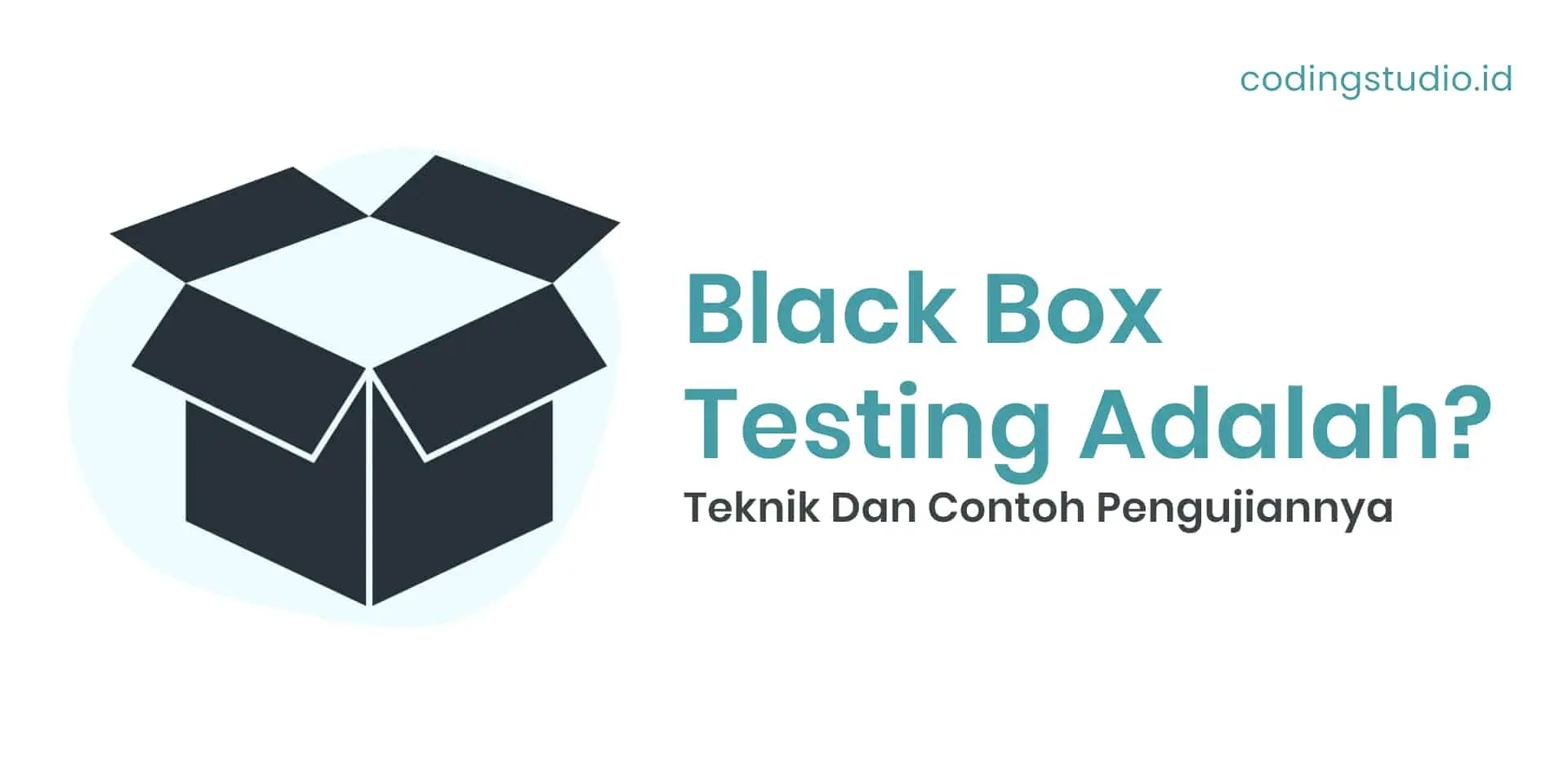 Black Box Testing Adalah Teknik Dan Contoh Pengujiannya