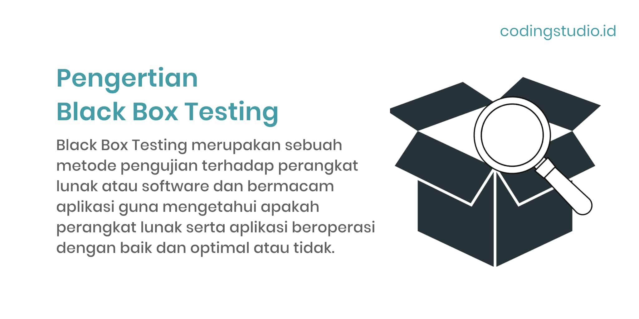 Black Box Testing Adalah Tipe Dan Contoh Pengujiannya