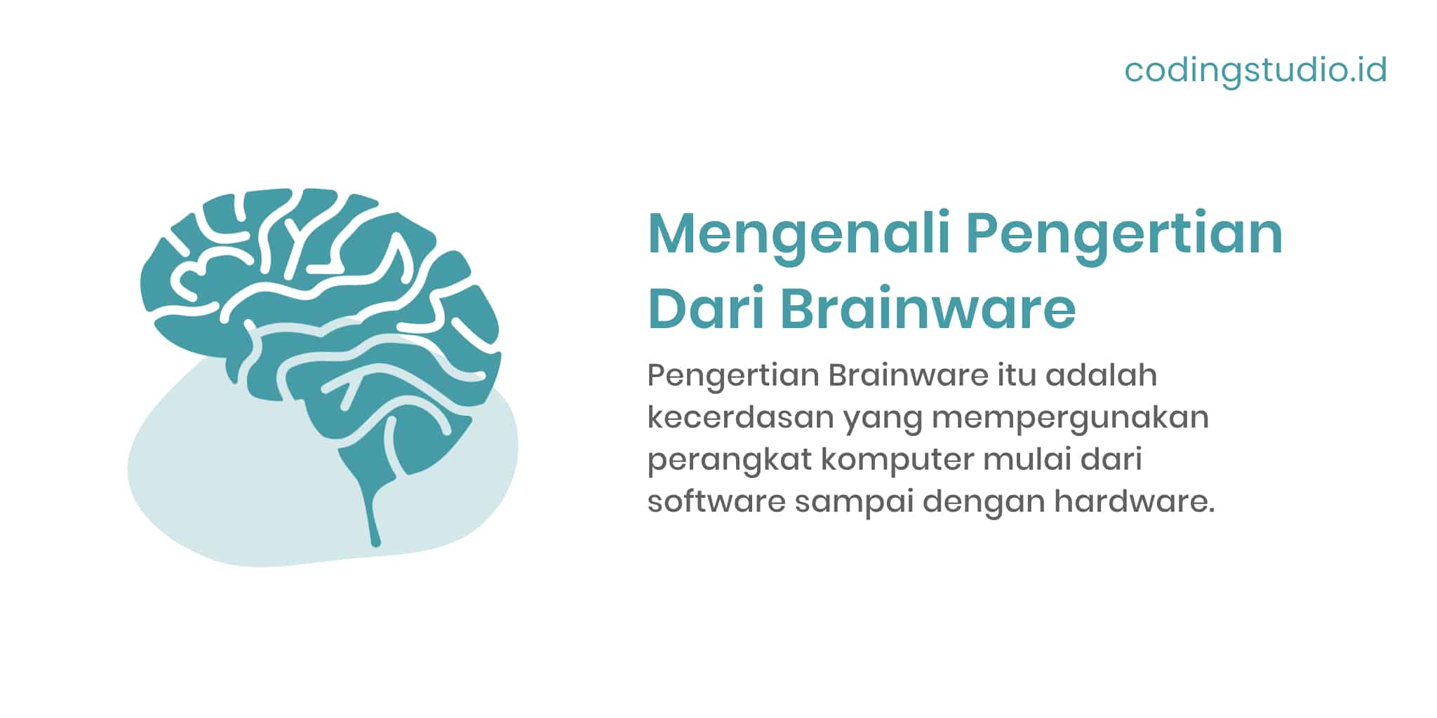 Brainware Adalah: Pengertian, Fungsi, Jenis Dan Contohnya