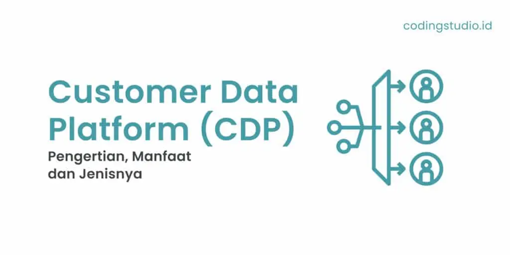 Customer Data Platform (CDP) Pengertian, Manfaat dan Jenisnya