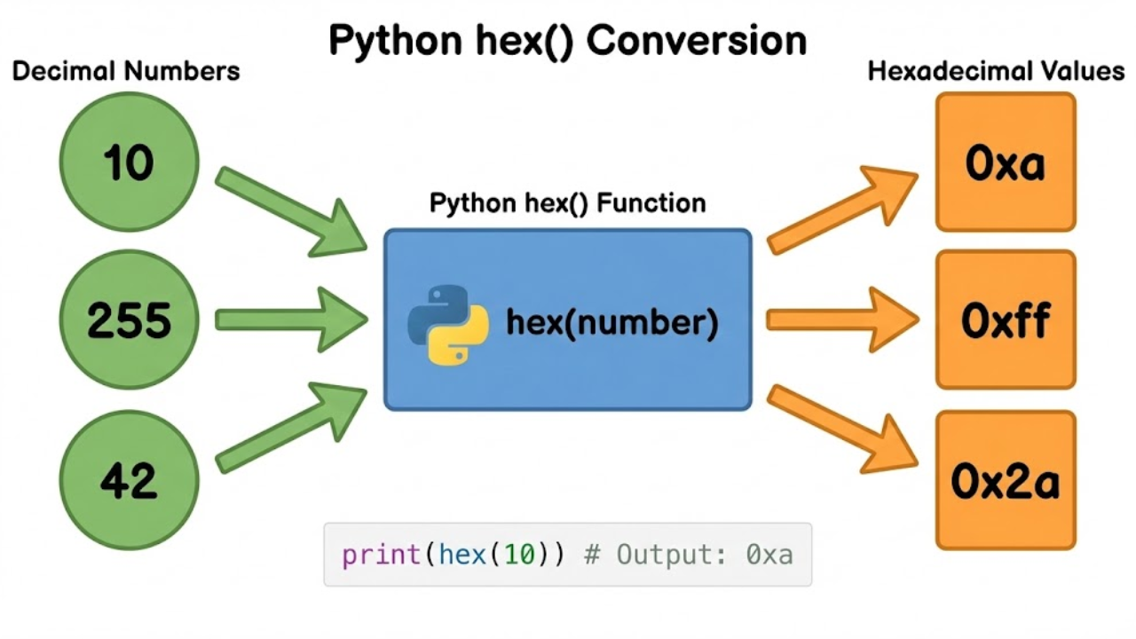 Apa Itu Fungsi hex() dalam Python?