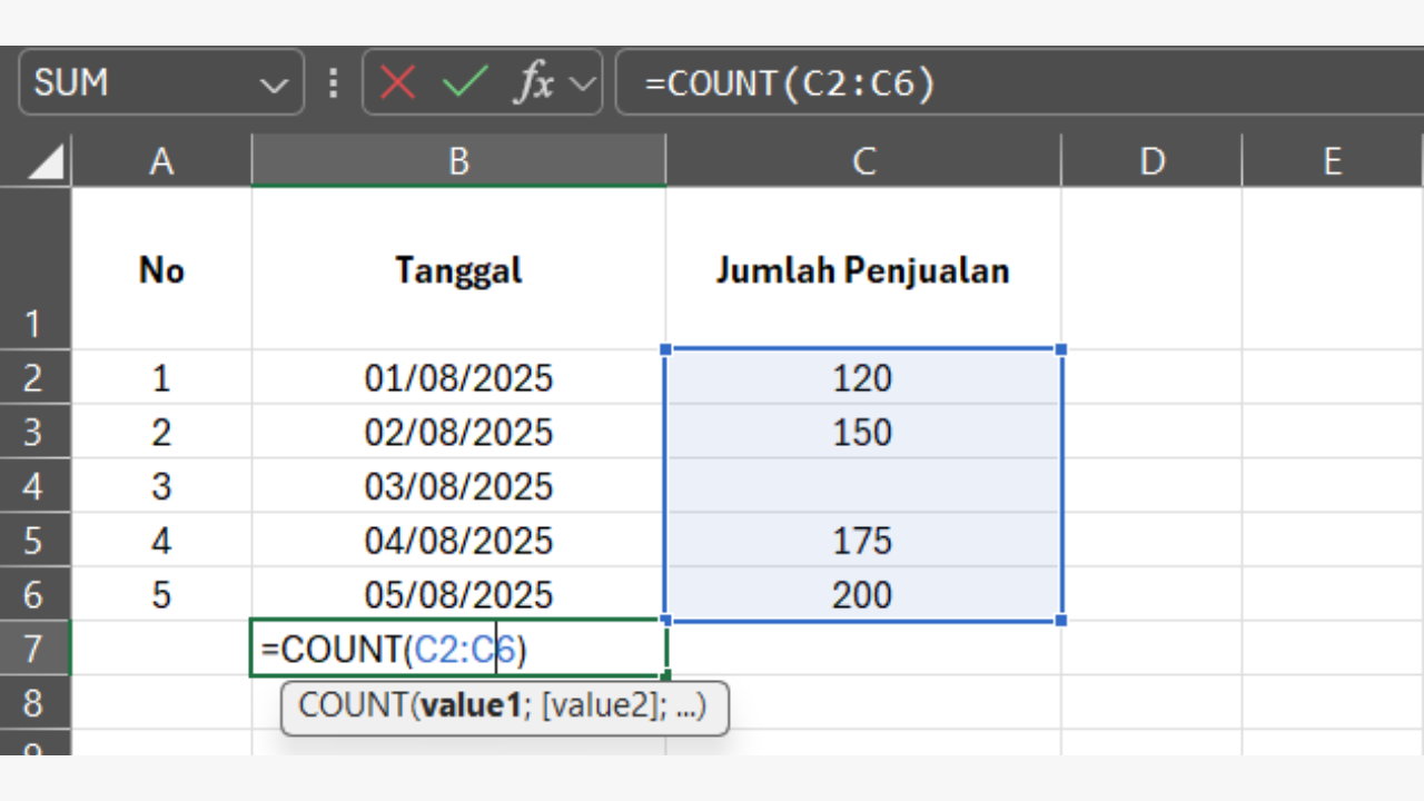 Apa Itu Rumus COUNT di Excel?